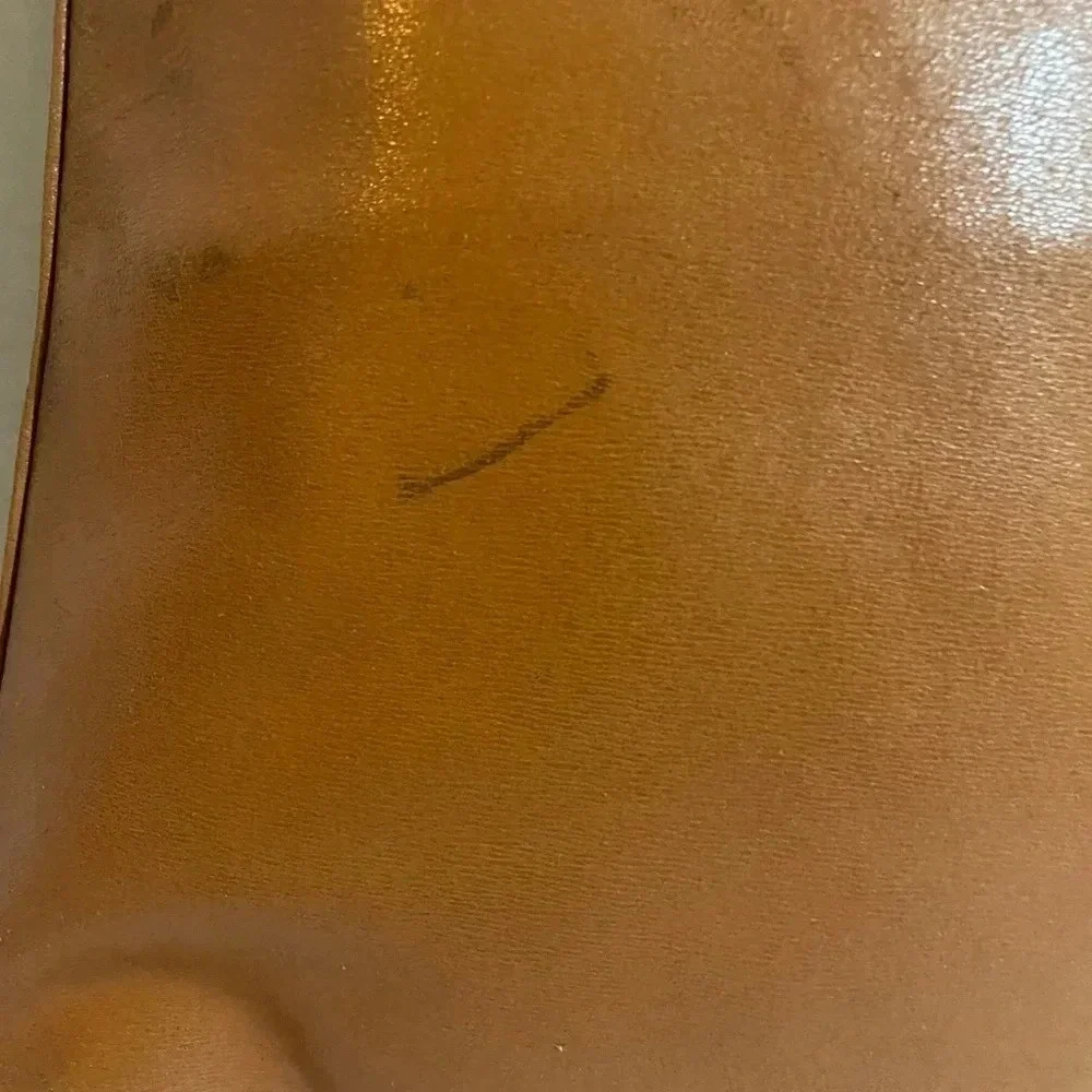 Longchamp brown leather
